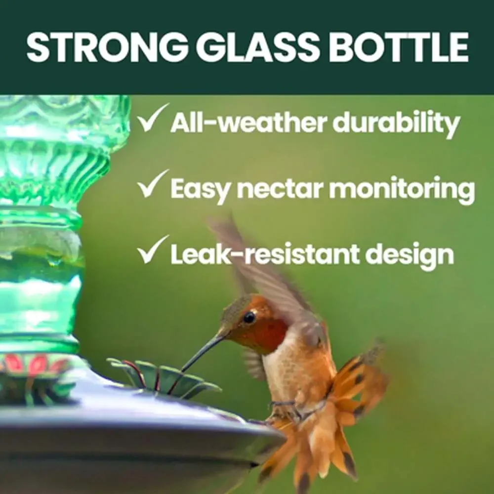 Antique Glass Bottle Hummingbird Feeder 10 Oz Capacity Green Outdoor Hanging